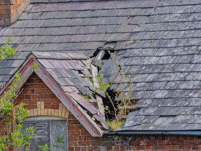 Professional water damage restoration services in SalisburY - NovaCrest Solutions